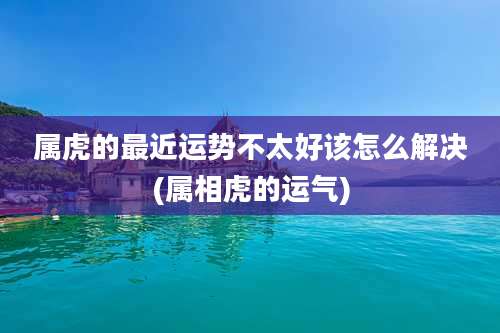 属虎的最近运势不太好该怎么解决(属相虎的运气)