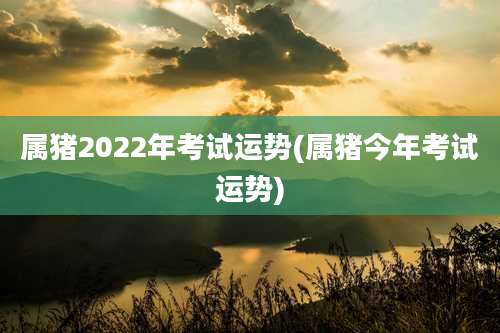 属猪2022年考试运势(属猪今年考试运势)