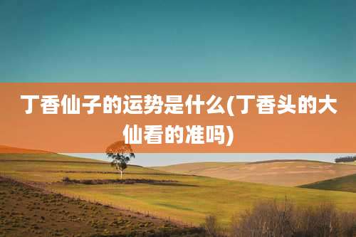 丁香仙子的运势是什么(丁香头的大仙看的准吗)