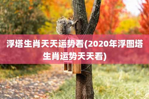 浮塔生肖天天运势看(2020年浮图塔生肖运势天天看)