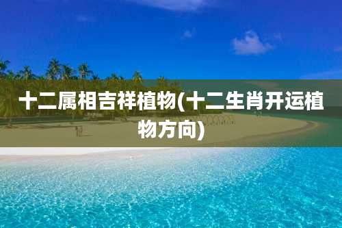 十二属相吉祥植物(十二生肖开运植物方向)