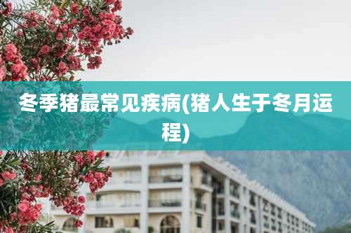 冬季猪最常见疾病(猪人生于冬月运程)