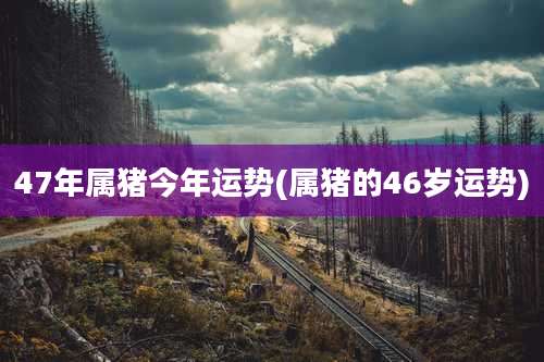 47年属猪今年运势(属猪的46岁运势)