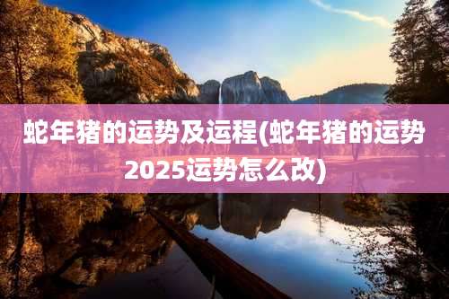 蛇年猪的运势及运程(蛇年猪的运势2025运势怎么改)