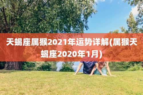 天蝎座属猴2021年运势详解(属猴天蝎座2020年1月)