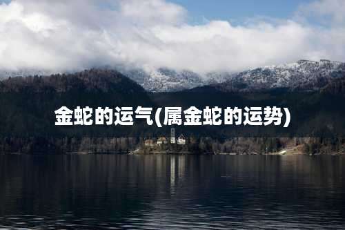金蛇的运气(属金蛇的运势)