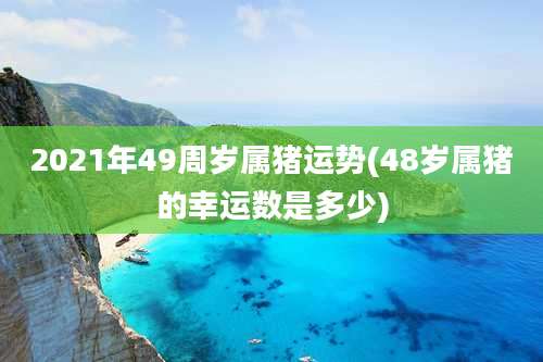 2021年49周岁属猪运势(48岁属猪的幸运数是多少)