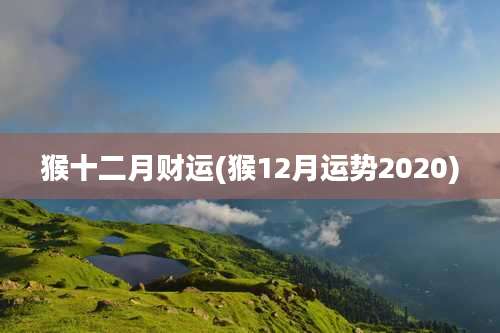 猴十二月财运(猴12月运势2020)
