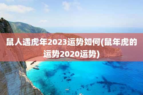 鼠人遇虎年2023运势如何(鼠年虎的运势2020运势)