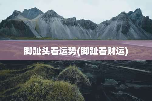 脚趾头看运势(脚趾看财运)