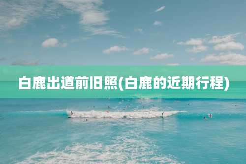 白鹿出道前旧照(白鹿的近期行程)