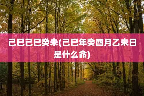 己巳己巳癸未(己巳年癸酉月乙未日是什么命)