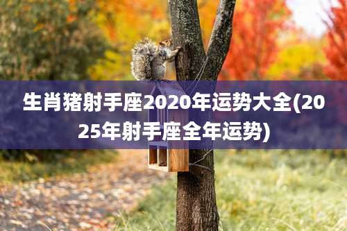 生肖猪射手座2020年运势大全(2025年射手座全年运势)