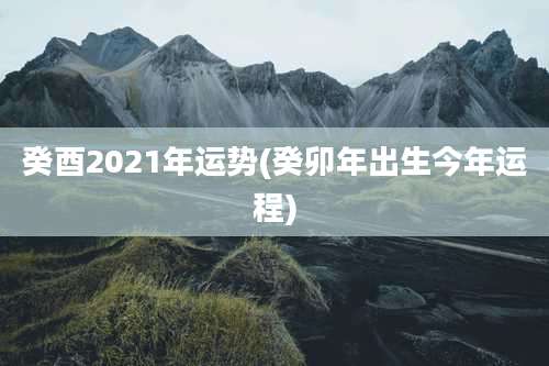 癸酉2021年运势(癸卯年出生今年运程)