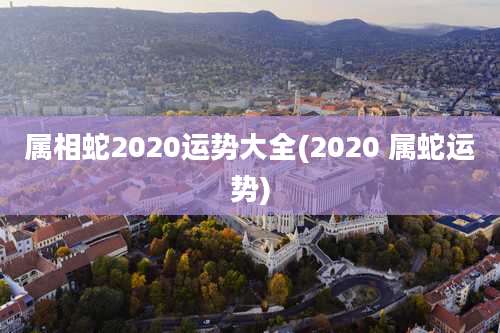 属相蛇2020运势大全(2020 属蛇运势)