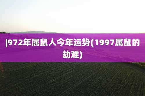 |972年属鼠人今年运势(1997属鼠的劫难)