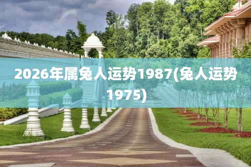 2026年属兔人运势1987(兔人运势1975)