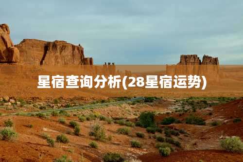 星宿查询分析(28星宿运势)