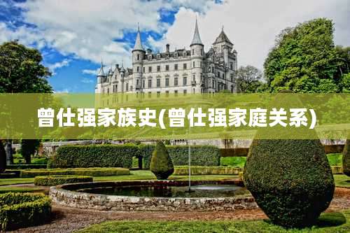 曾仕强家族史(曾仕强家庭关系)