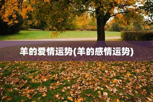 羊的爱情运势(羊的感情运势)