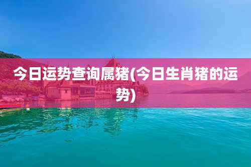 今日运势查询属猪(今日生肖猪的运势)