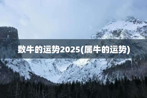 数牛的运势2025(属牛的运势)