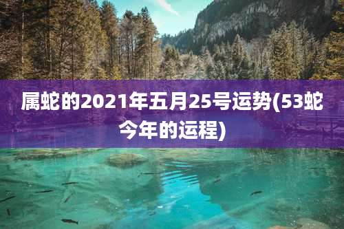 属蛇的2021年五月25号运势(53蛇今年的运程)