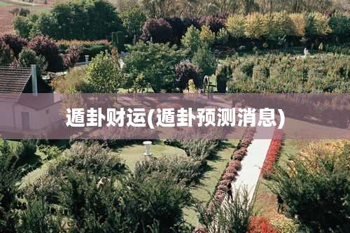 遁卦财运(遁卦预测消息)