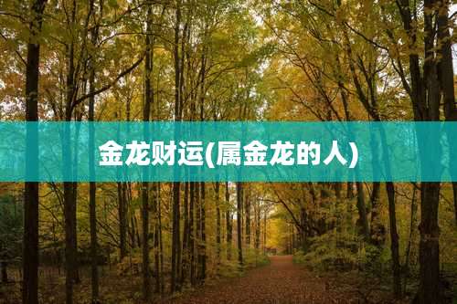金龙财运(属金龙的人)