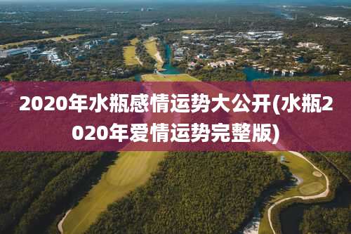 2020年水瓶感情运势大公开(水瓶2020年爱情运势完整版)