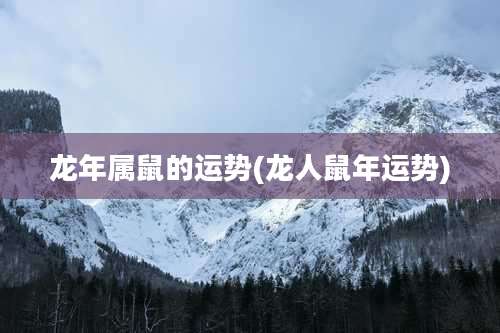 龙年属鼠的运势(龙人鼠年运势)