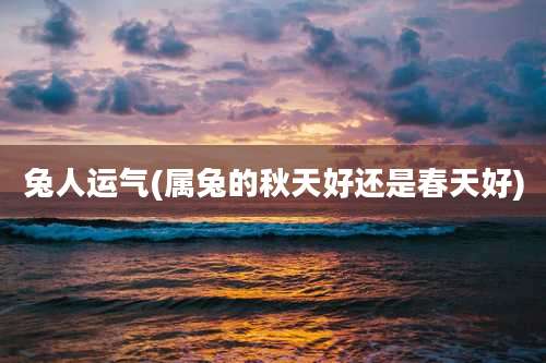 兔人运气(属兔的秋天好还是春天好)