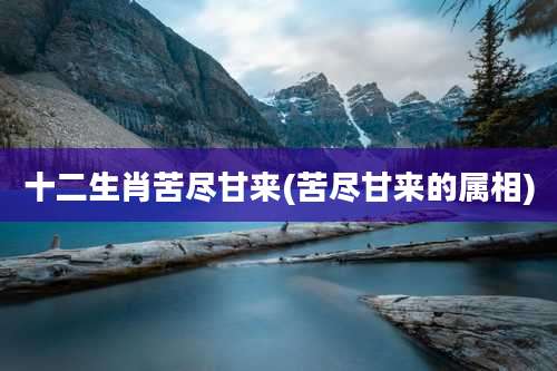 十二生肖苦尽甘来(苦尽甘来的属相)