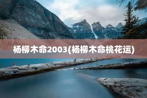 杨柳木命2003(杨柳木命桃花运)