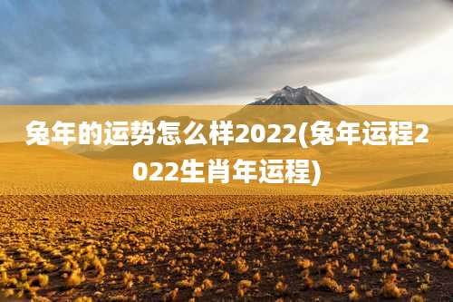 兔年的运势怎么样2022(兔年运程2022生肖年运程)