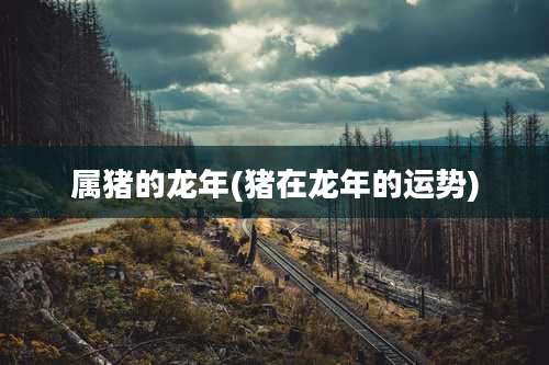 属猪的龙年(猪在龙年的运势)