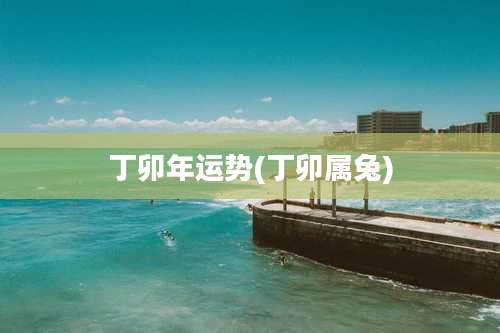 丁卯年运势(丁卯属兔)