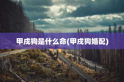 甲戍狗是什么命(甲戌狗婚配)