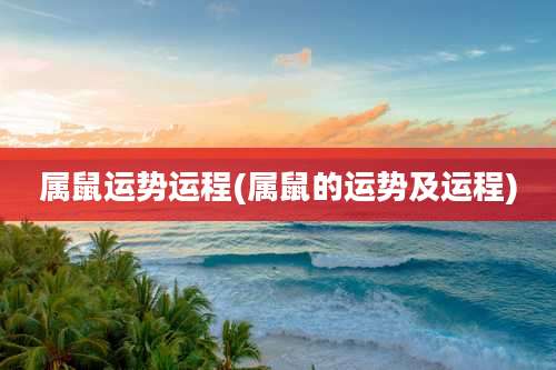 属鼠运势运程(属鼠的运势及运程)