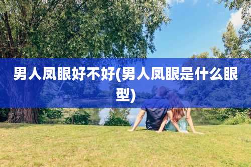 男人凤眼好不好(男人凤眼是什么眼型)