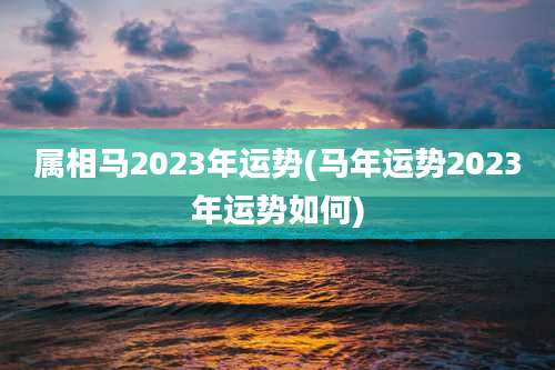 属相马2023年运势(马年运势2023年运势如何)