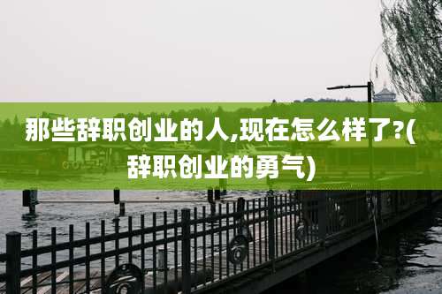 那些辞职创业的人,现在怎么样了?(辞职创业的勇气)