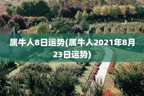 属牛人8日运势(属牛人2021年8月23日运势)