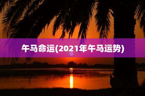 午马命运(2021年午马运势)