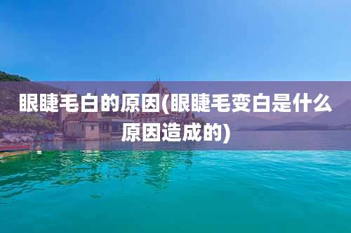 眼睫毛白的原因(眼睫毛变白是什么原因造成的)