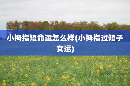 小拇指短命运怎么样(小拇指过短子女运)