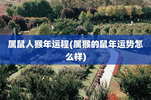 属鼠人猴年运程(属猴的鼠年运势怎么样)