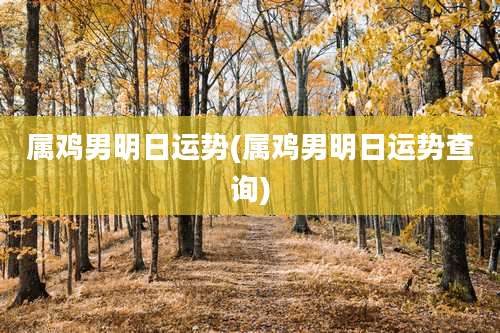 属鸡男明日运势(属鸡男明日运势查询)