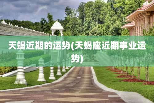 天蝎近期的运势(天蝎座近期事业运势)