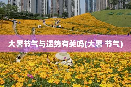 大暑节气与运势有关吗(大暑 节气)